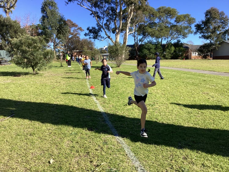 No photo description available.